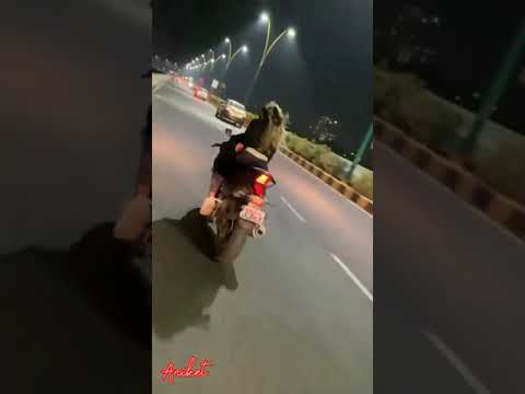 Chica caliente en moto 4 Chica en una superbici | Chica caliente en bicicleta | a las chicas les encanta conducir | #horts #girlride