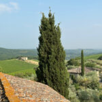 Explora las colinas Chianti en moto: belleza y aventura
