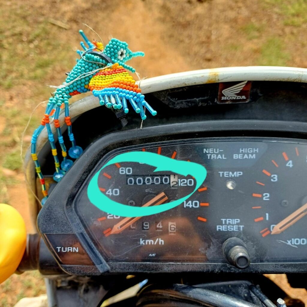 Smarts de viaje de motocicleta / ¿Cuántas millas debe viajar en un día?