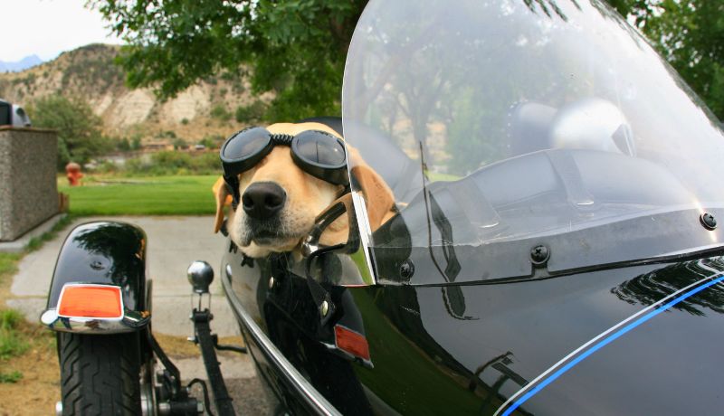 ¡Instale un parabrisas universal para motocicleta en 4 sencillos pasos!