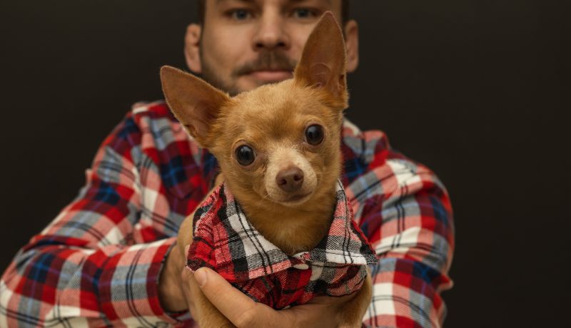 Similitudes entre Perros y Motociclistas: 10 Cosas en Común 1 Perros motociclistas y hombres motociclistas: ¡10 formas en que son exactamente iguales!